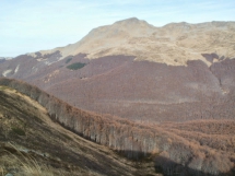 Appennino Parmense