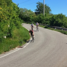 I &quot;colli&quot; di San Fermo