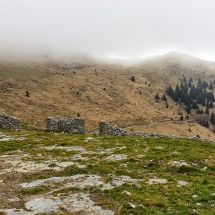 Il Guglielmo da Caregno