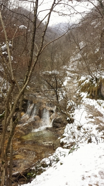 Monte Spino da San Michele