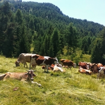 Da Malonno all&#039;Aprica per poi fare il Mortirolo da Mazzo