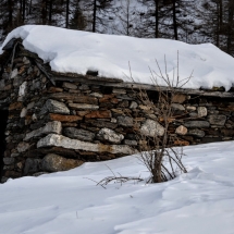 Valle delle Messi – Parco dello Stelvio