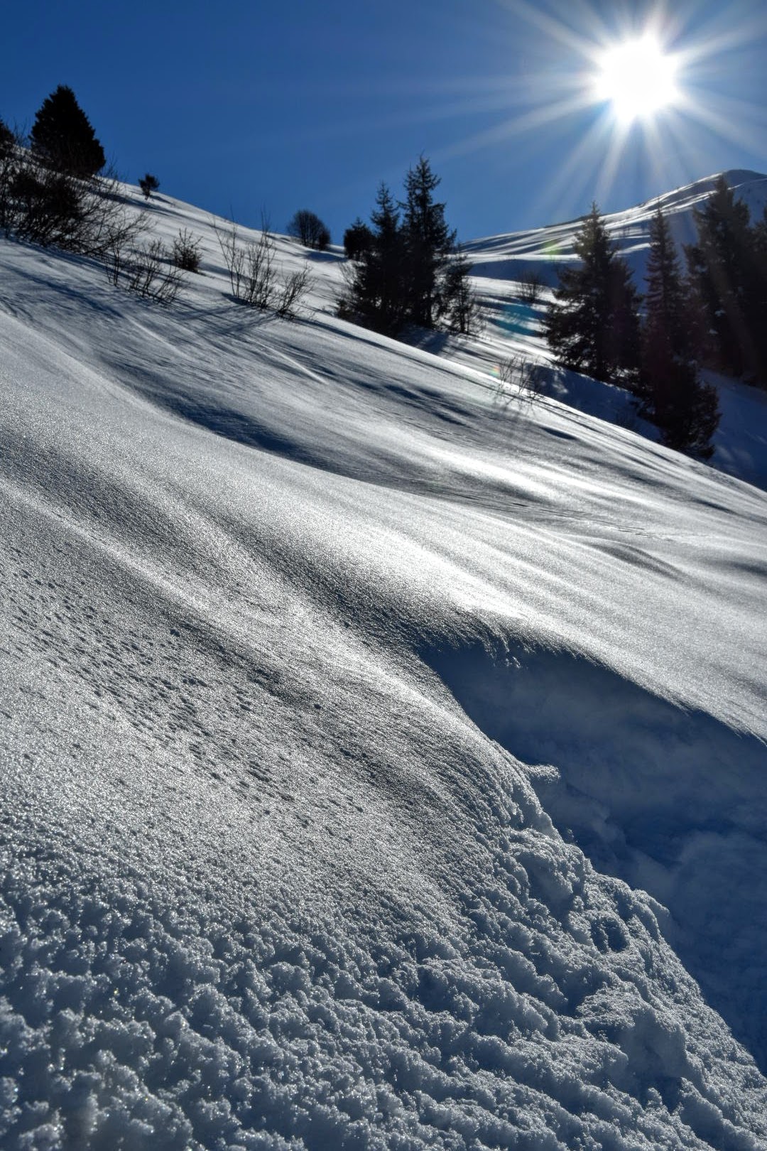 Da Caregno verso il Monte Guglielmo