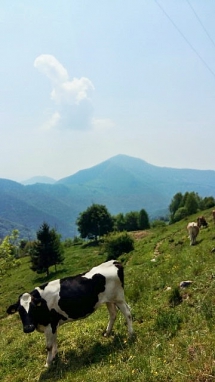 Colli di San Fermo da Vigolo