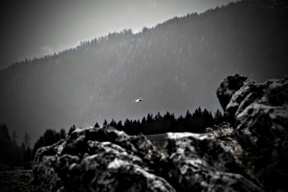 Da Borno al Rifugio Gualtiero Laeng e Rifugio San Fermo