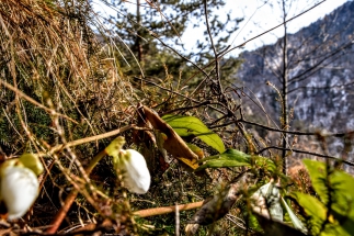 Valle di S.Michele