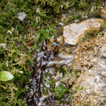 Parco delle Cascate di Molina (Fumane - VR)