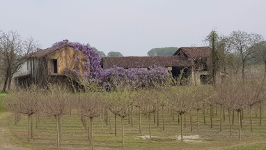 20190406_154620 20190406_154620